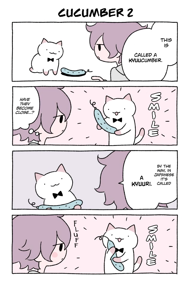 Wonder Cat Kyuu-chan Chapter 155 1